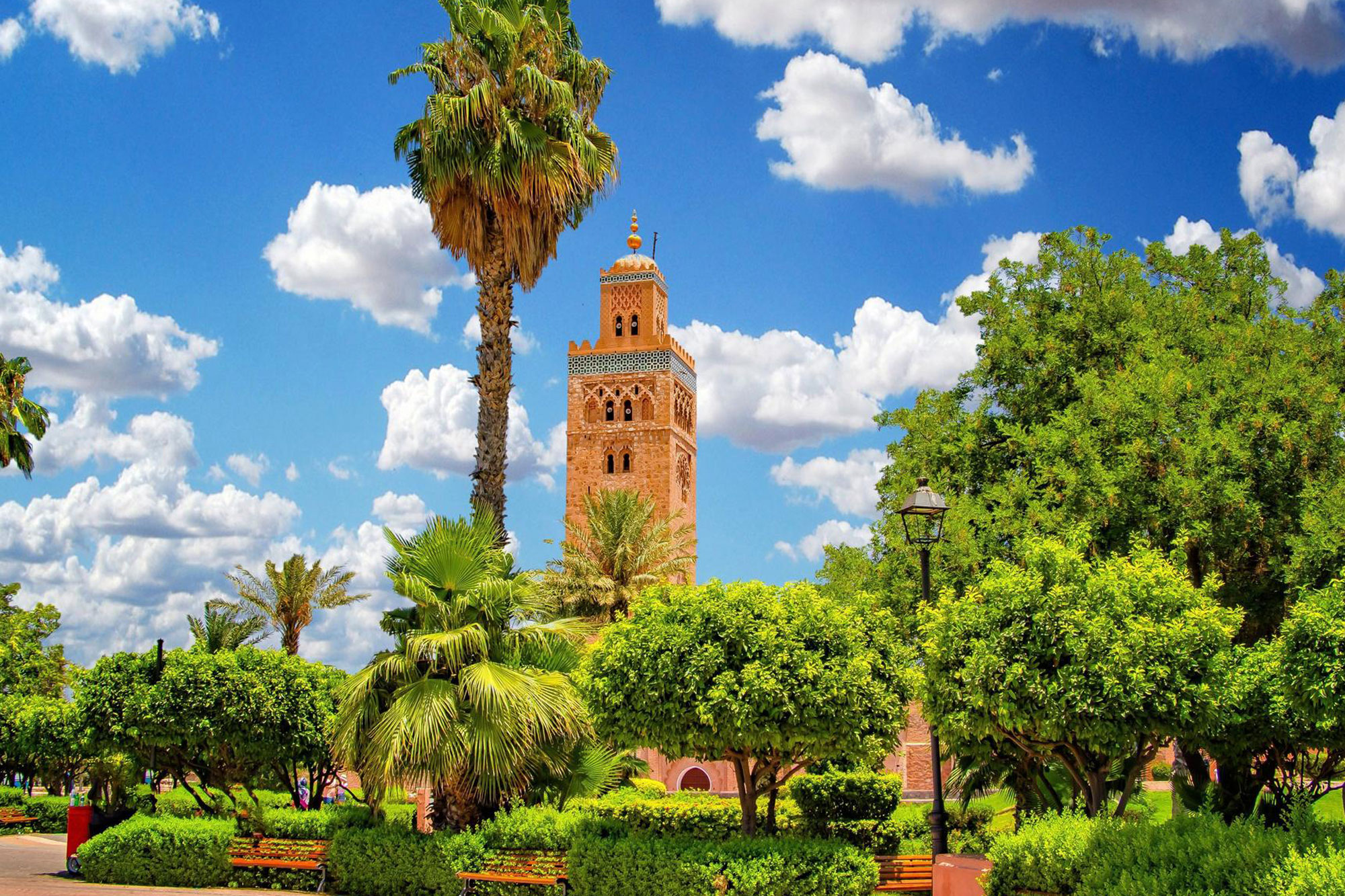 Location de Voiture Marrakech